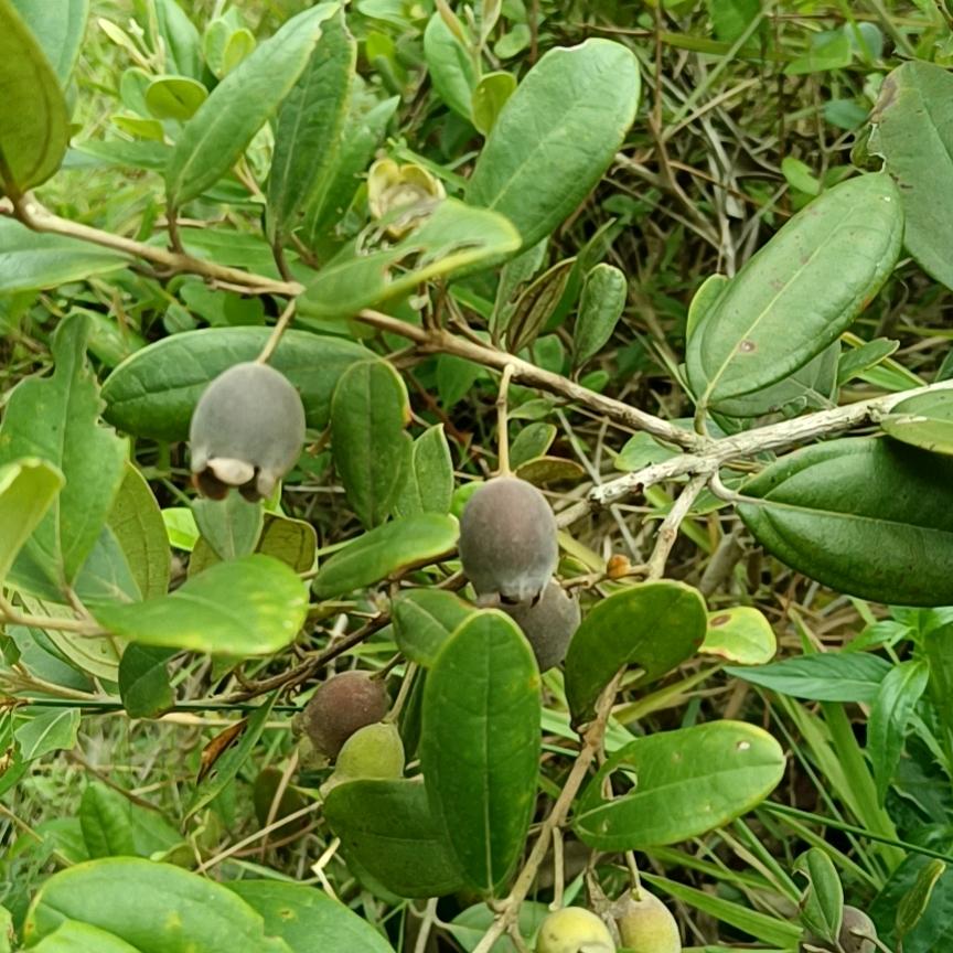 做自己想做的事