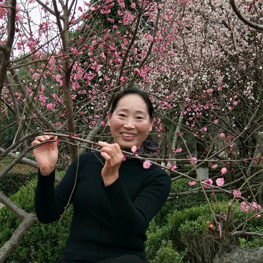 甜密（橱窗有好物）