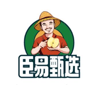 臣易甄选