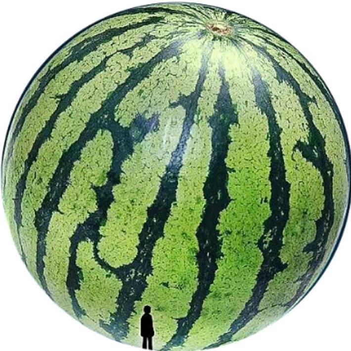 是盼盼呀