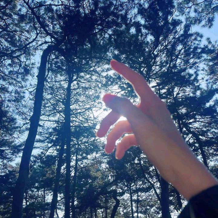 坚持%
