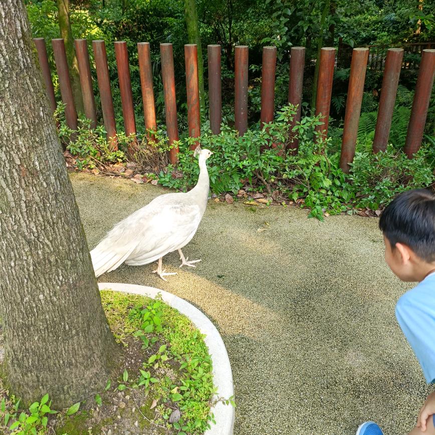 可寻哩  （商品在橱窗）
