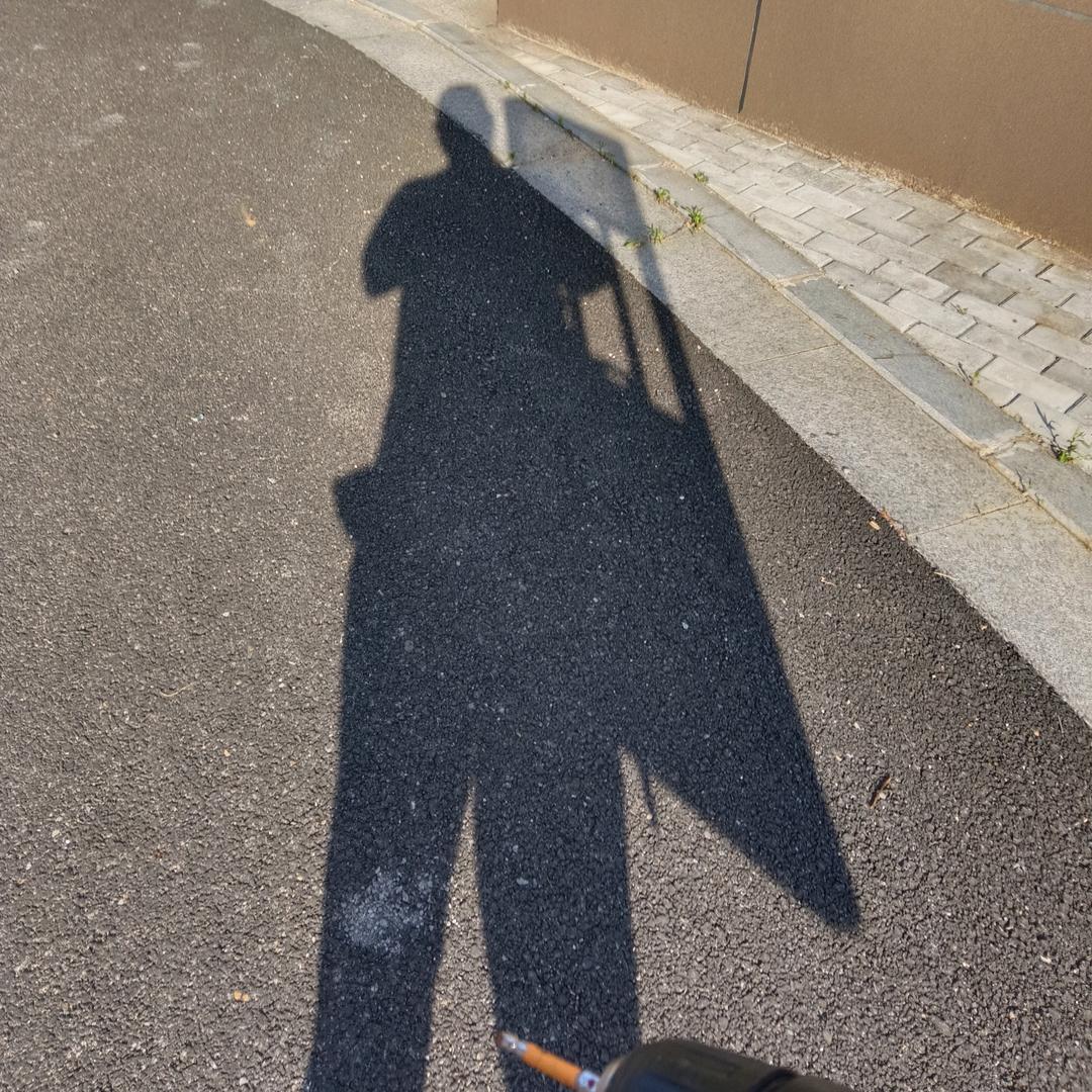 今日主题 日入萬元