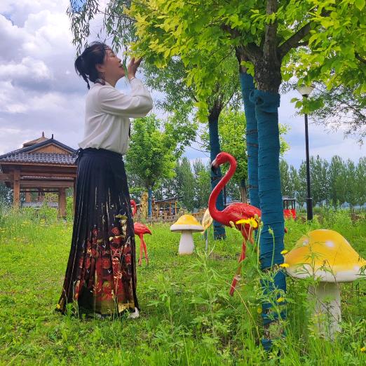 @69年：悠悠荷韵