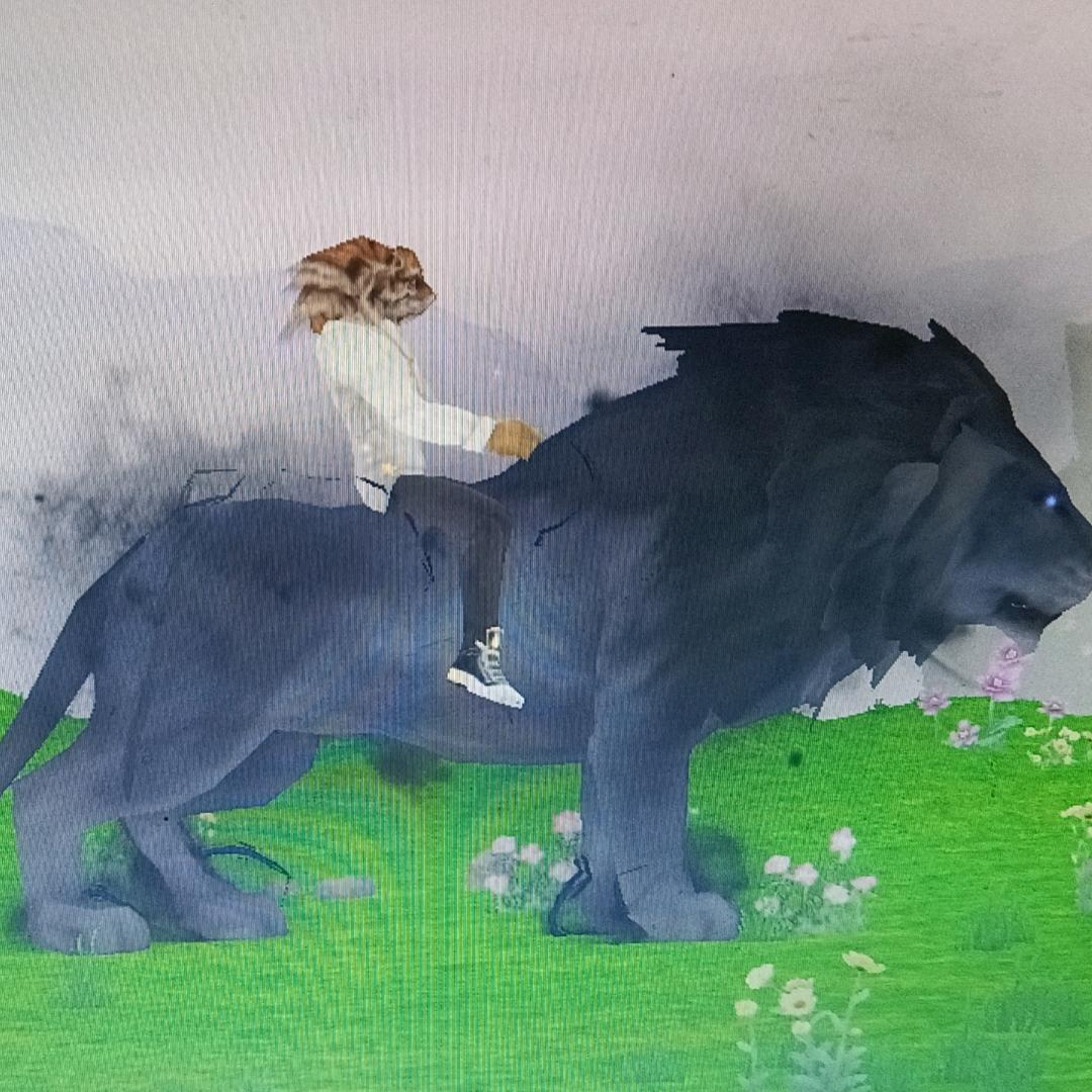 何事秋风悲画扇o0