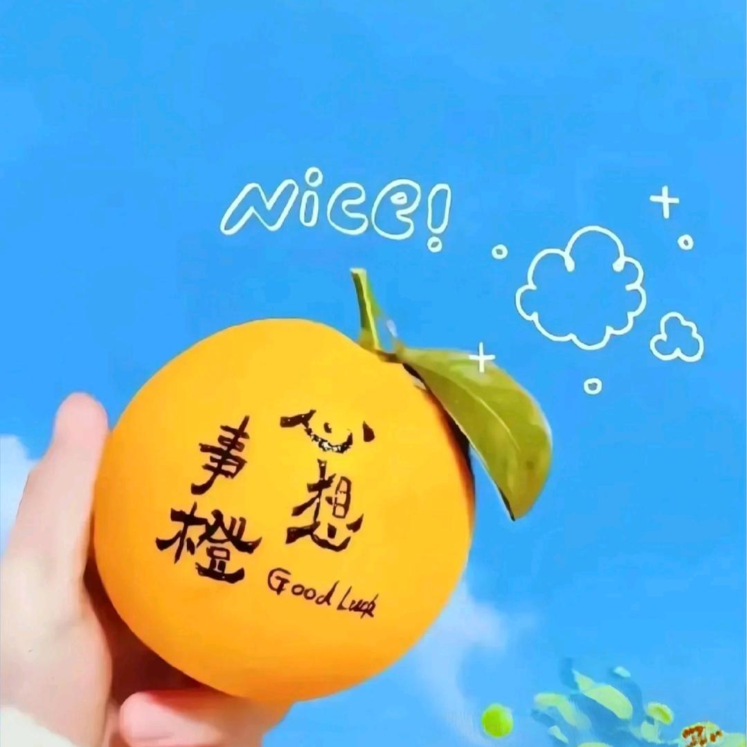 橙心橙意🍊