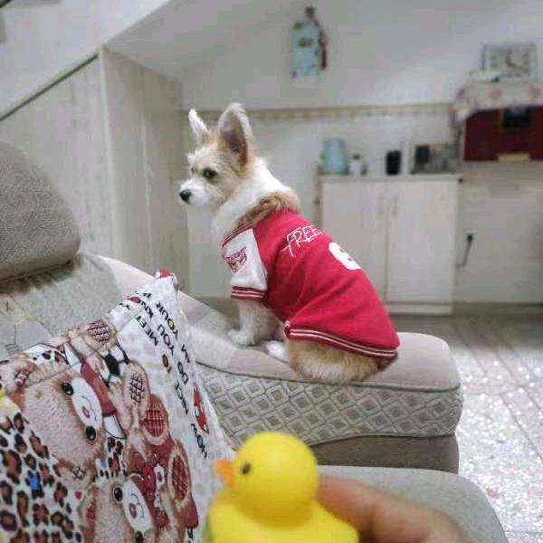 永通C1C2欧阳教练🌈🌈