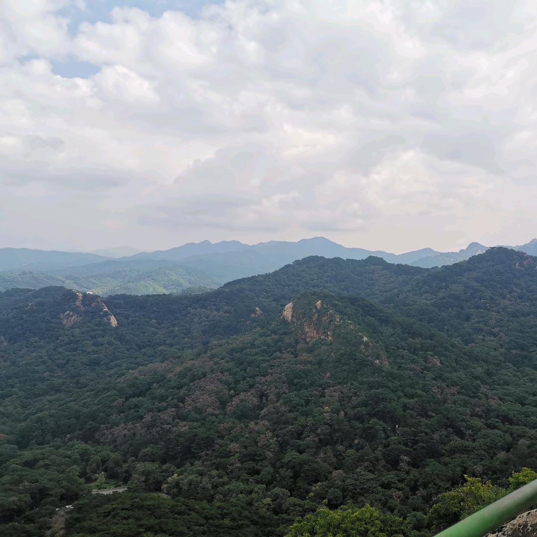 凯盛园君子兰养殖基地