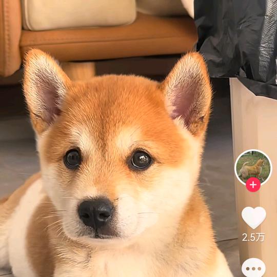 ꧔ꦿ࿐้李💞࿐