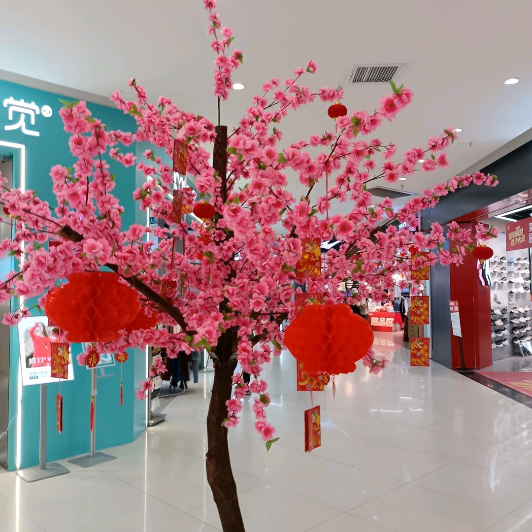 🌹🌹诗和远方🌹🌹