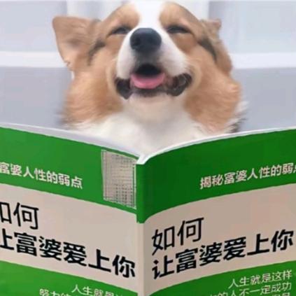 注塑机螺杆主理人-小李