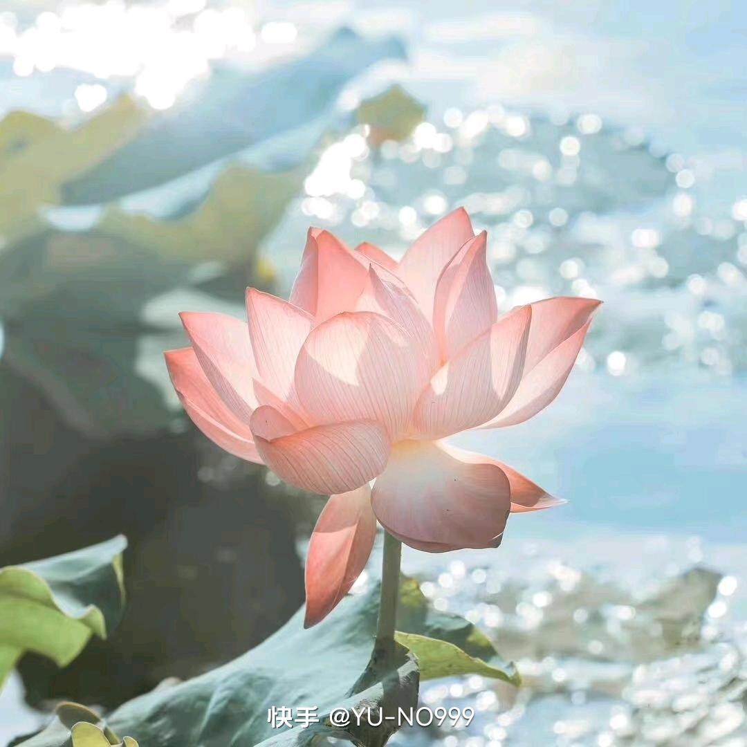 开心就好