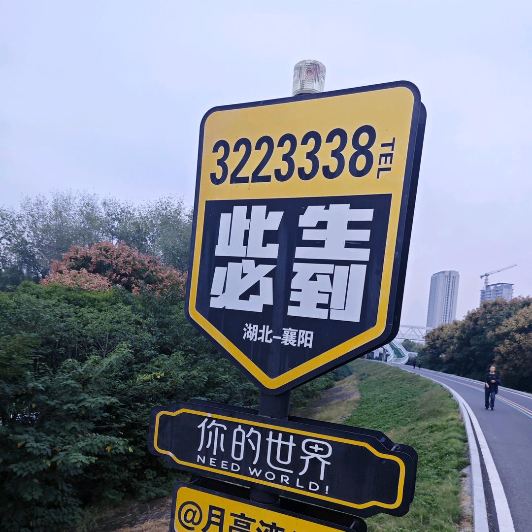 刘先生