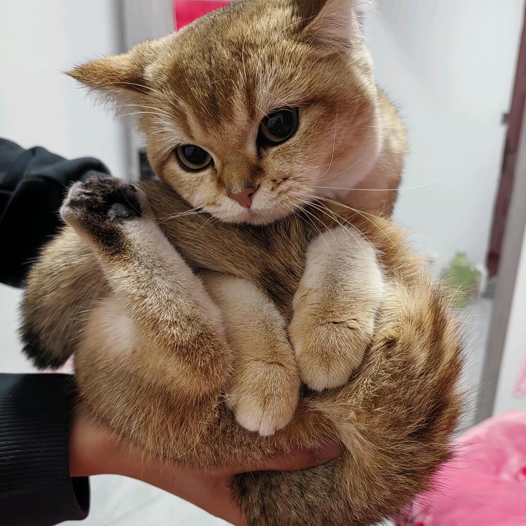 美好