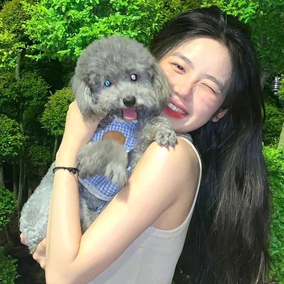 帅炸语宙的反派鱼头