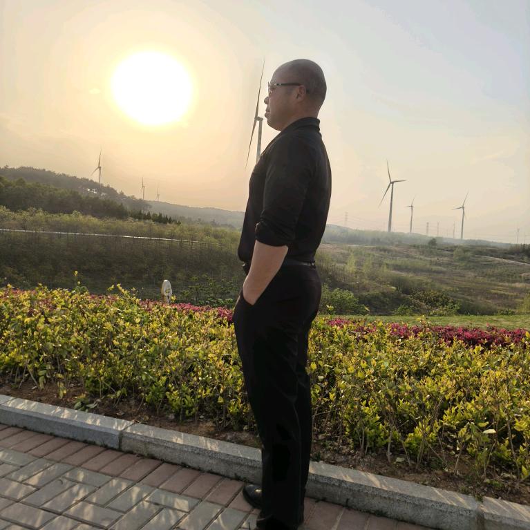 我的工作
