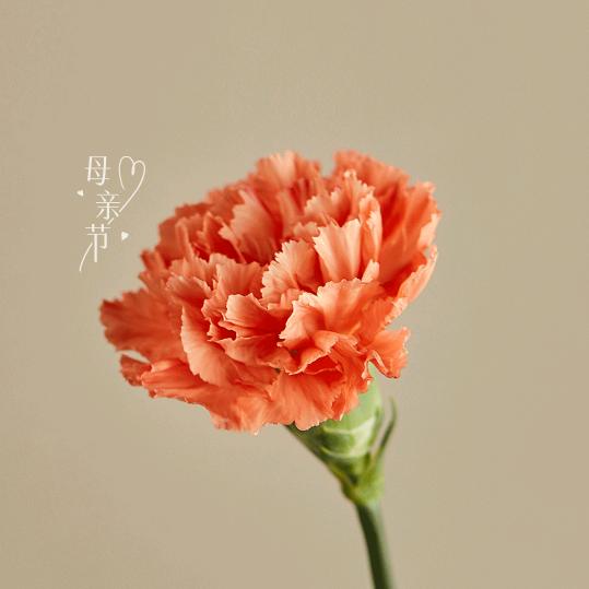 小梁