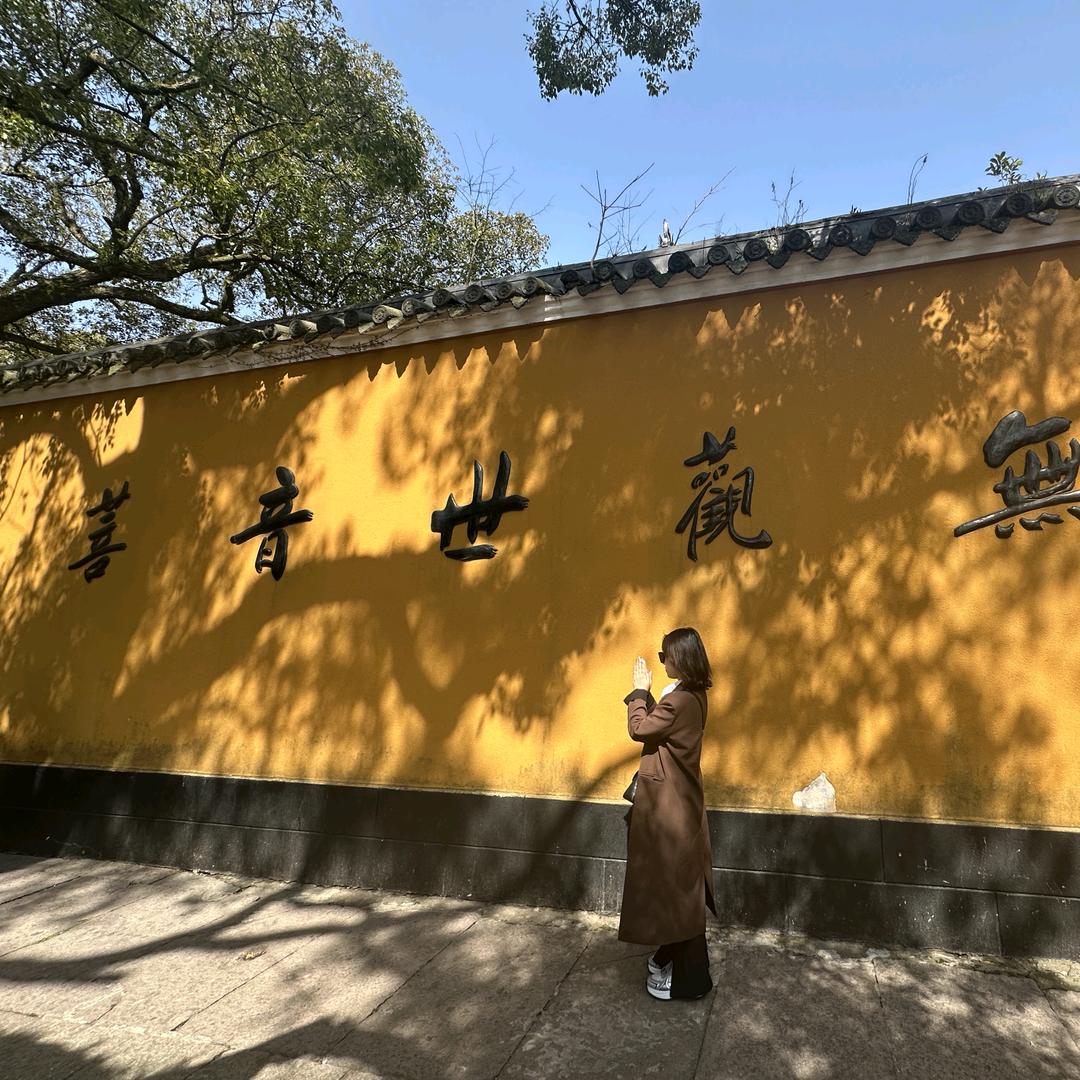 山茶花开🌸在年糕里