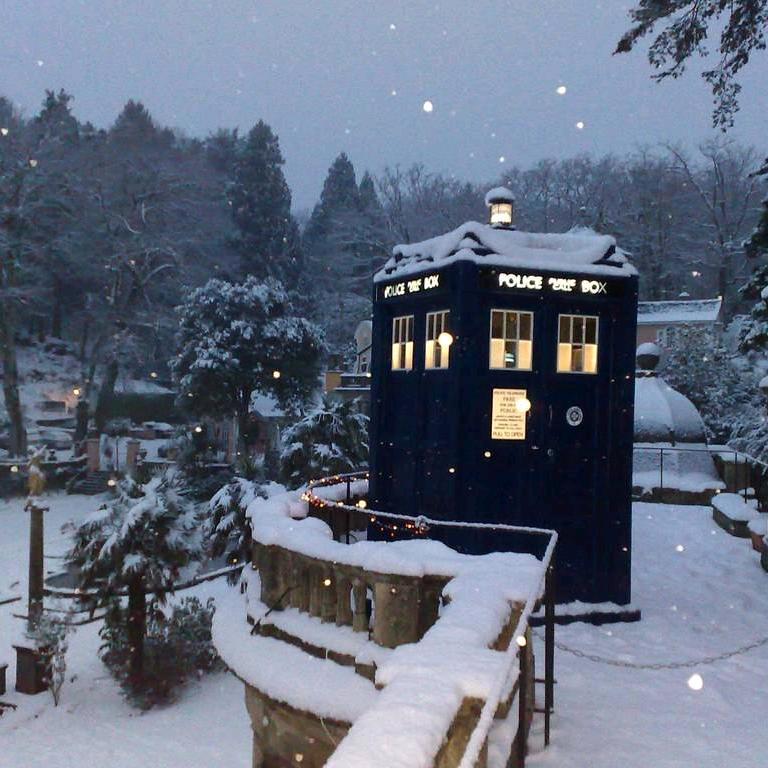 枫糖南瓜瓜Hespereia