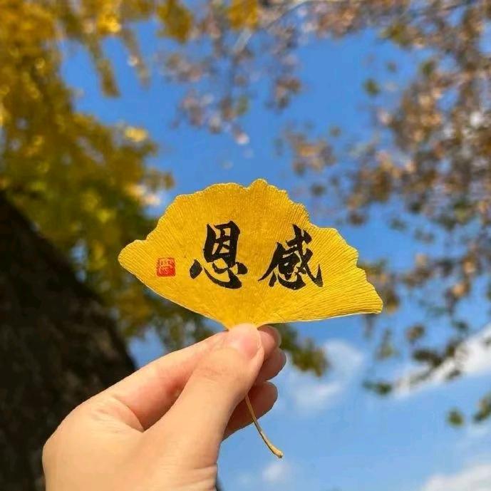 盼盼好物推荐