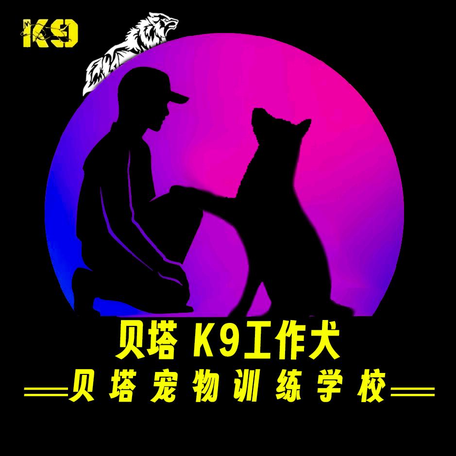 和田贝塔宠物训练学校