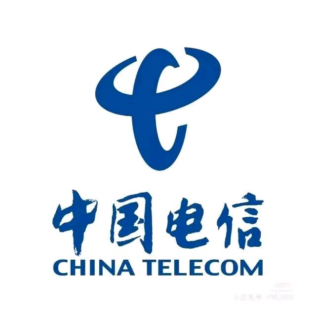 临高电信主营业厅