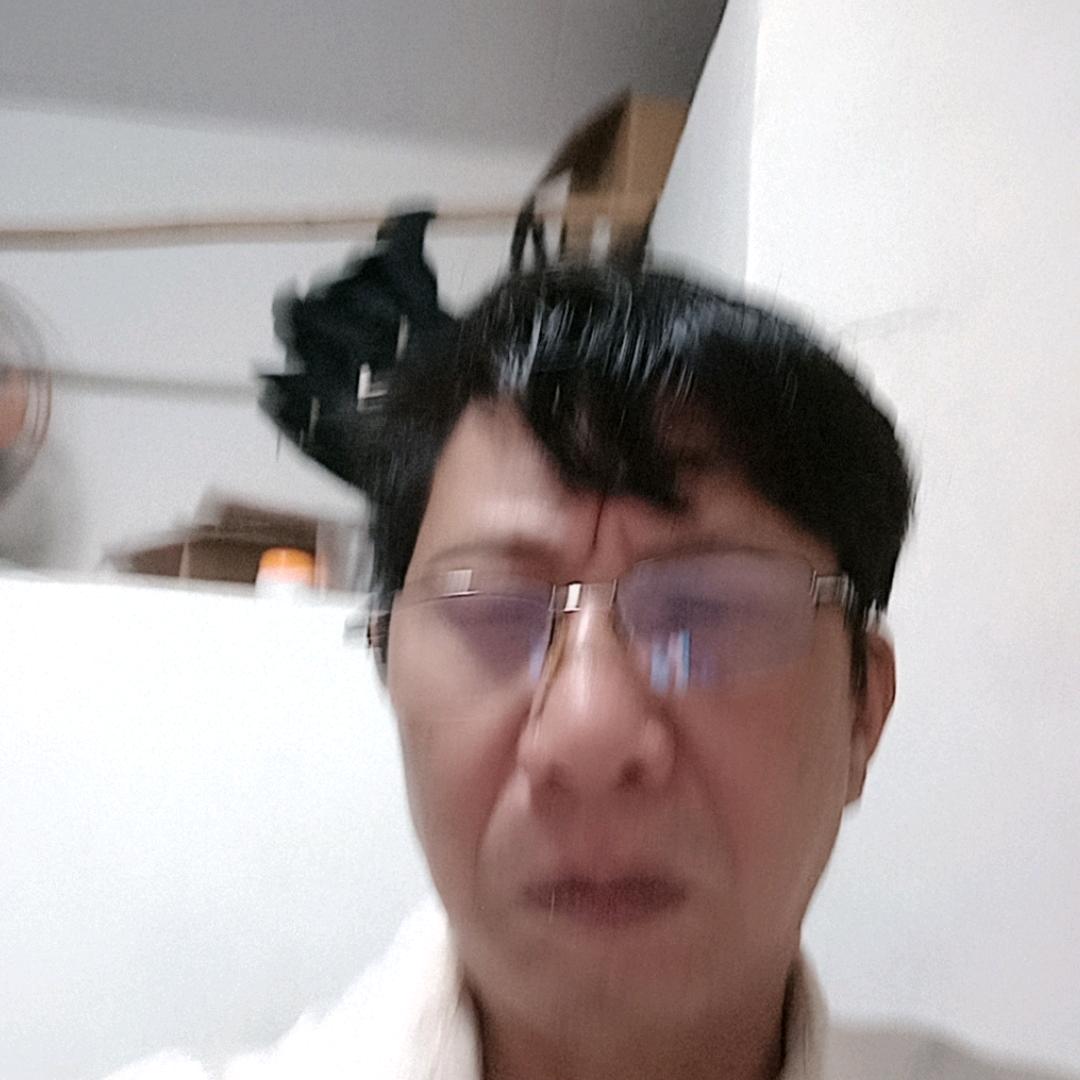西贝