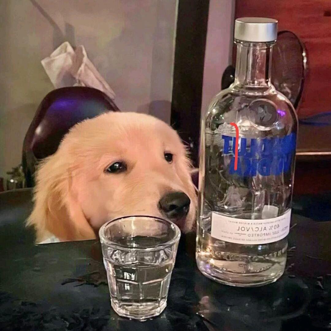 等风吹起忆之海