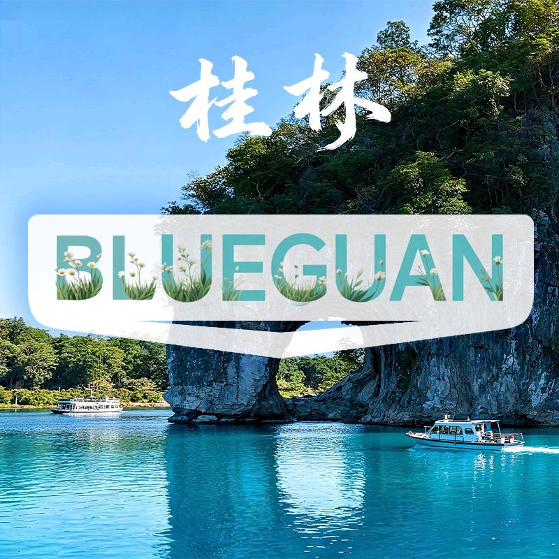 蓝冠科技纸品湿巾旗舰店