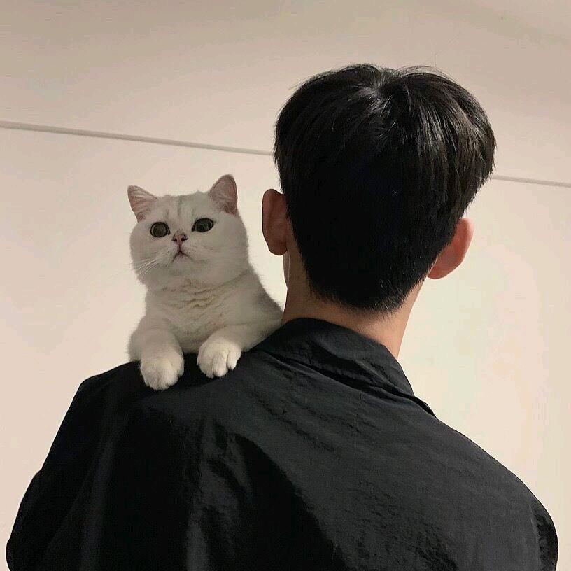 梁志奶他超