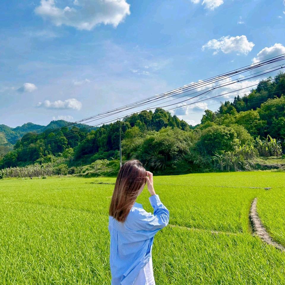 肖岚