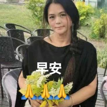 普凤🙏