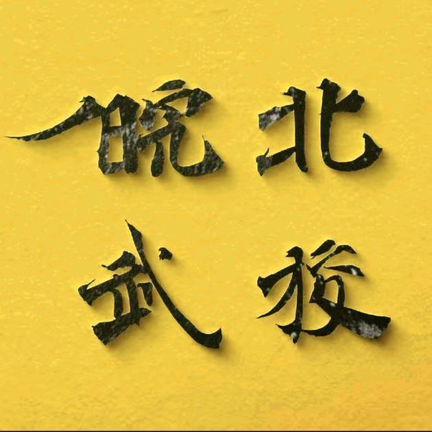 皖北武校李老师