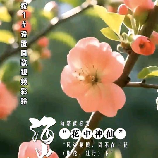 琏儿的美满生活