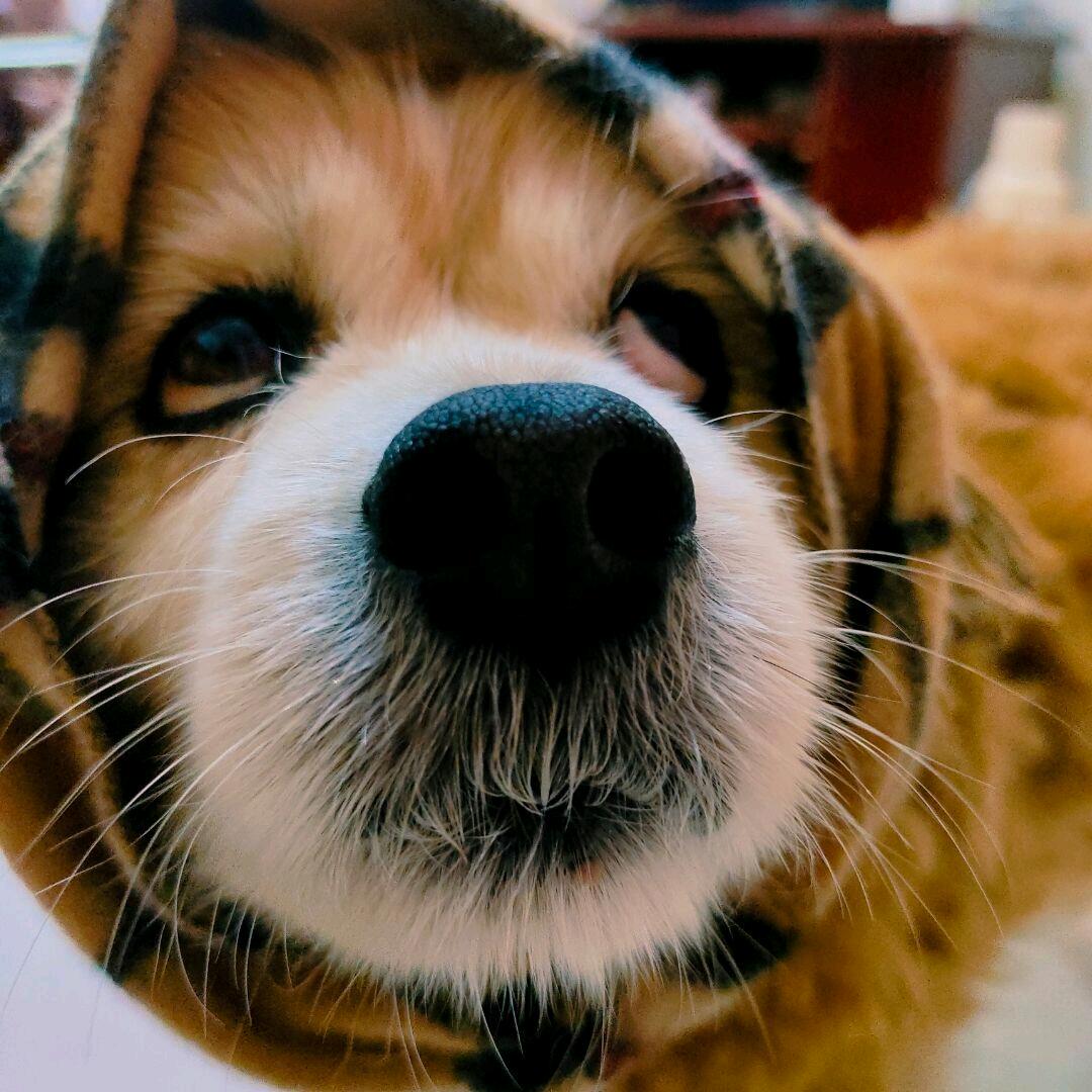 永远永远睡不够