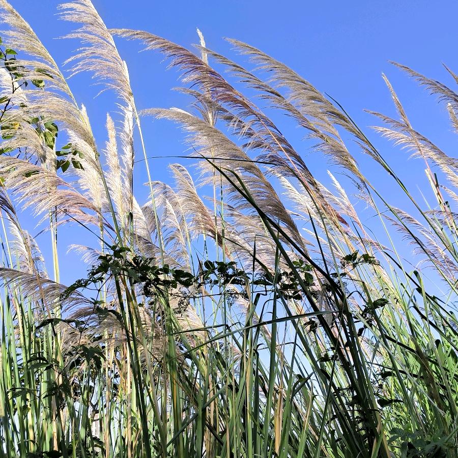 小一带你哄媳妇