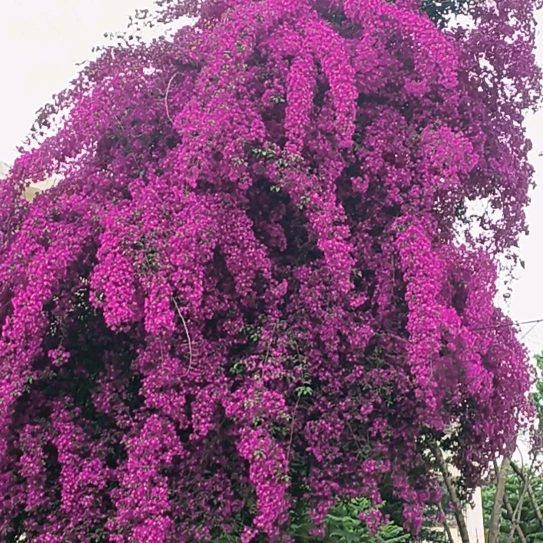 早起的鸟儿有虫吃