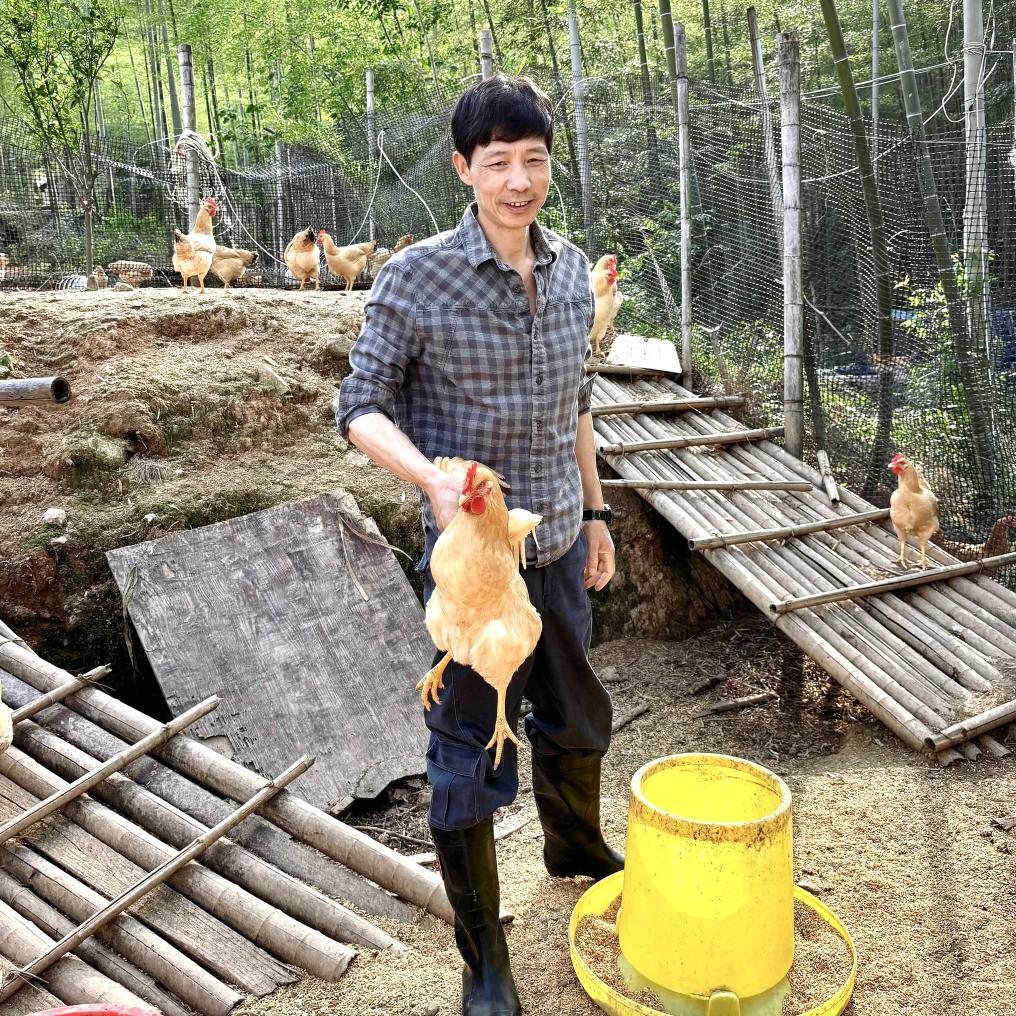 竹深鸡鸣食品小铺