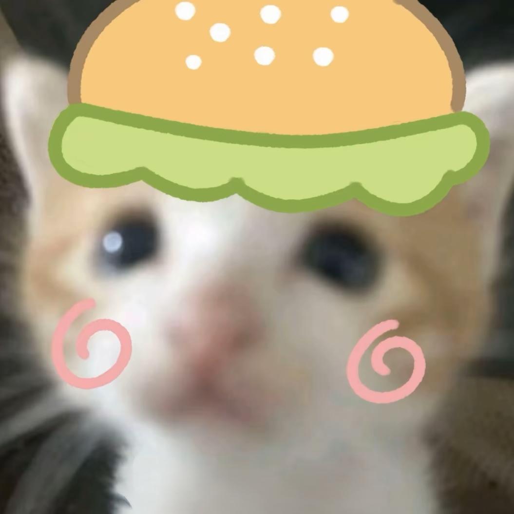 流ᩚ浪猫୭