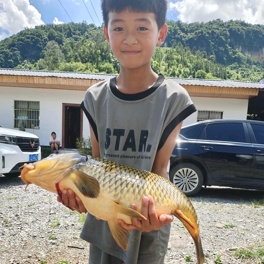 波哥～～～养猪