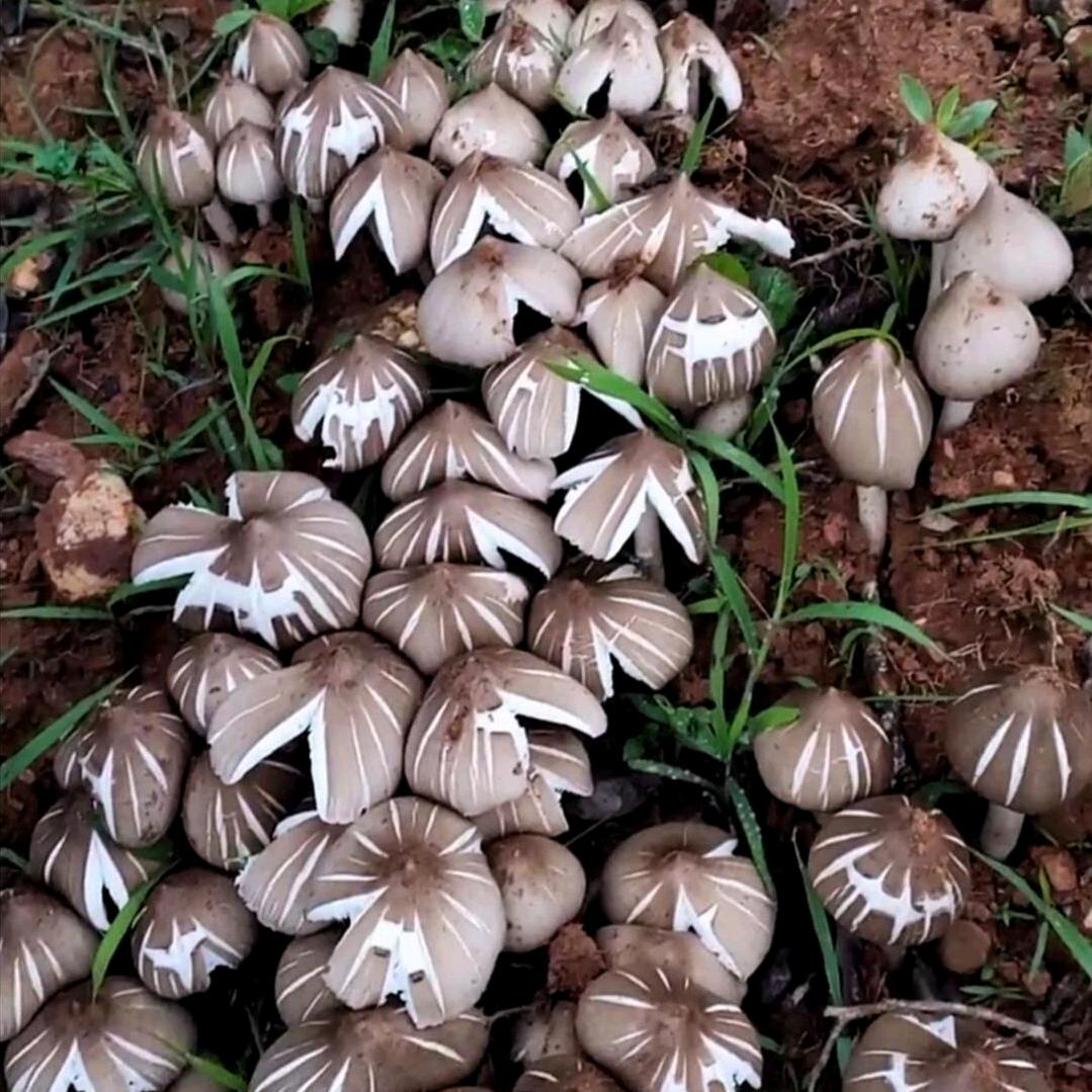 心想事成，天天开心