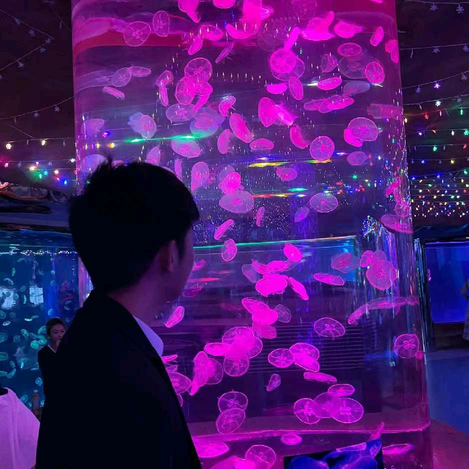 小杨在努力
