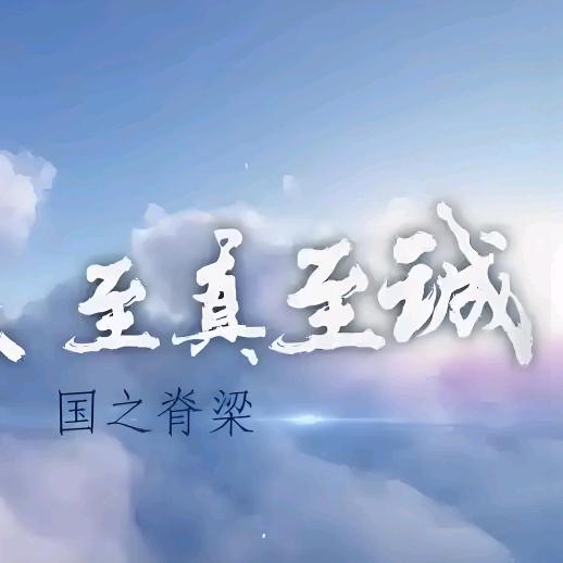 二手车行情指南（浪哥收车）