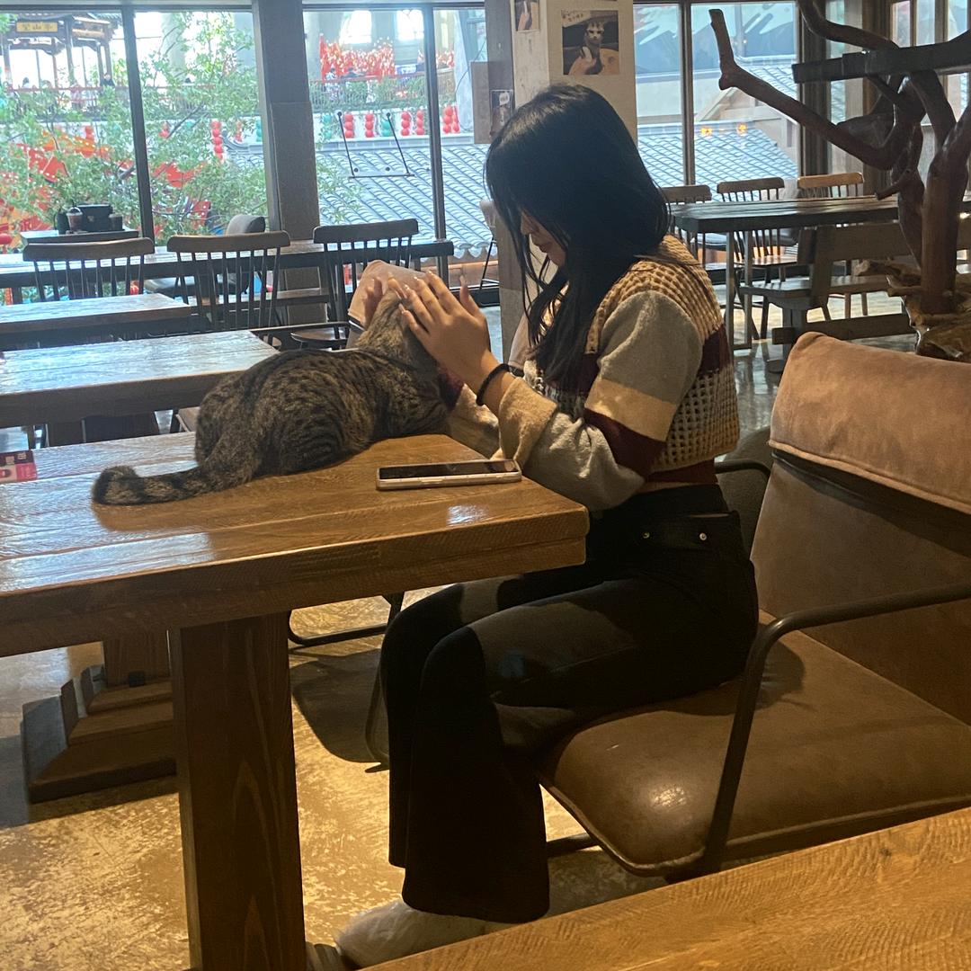 笨笨淇