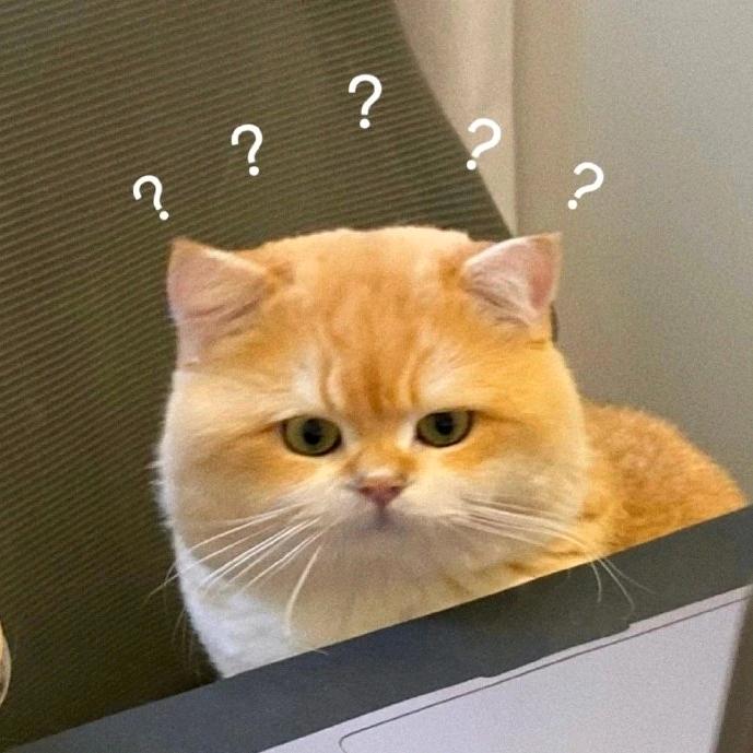 小熊软糖