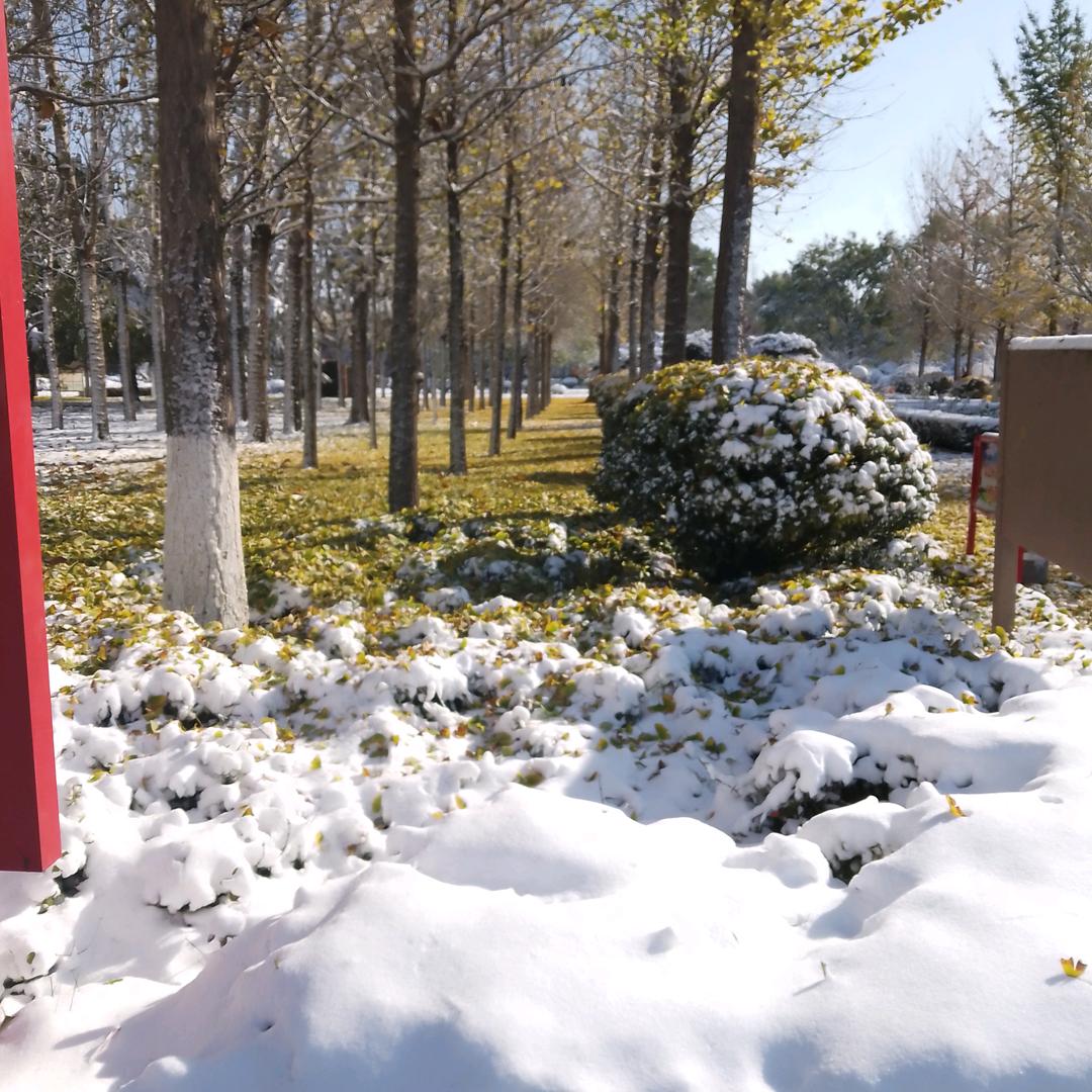 雪山飞胡