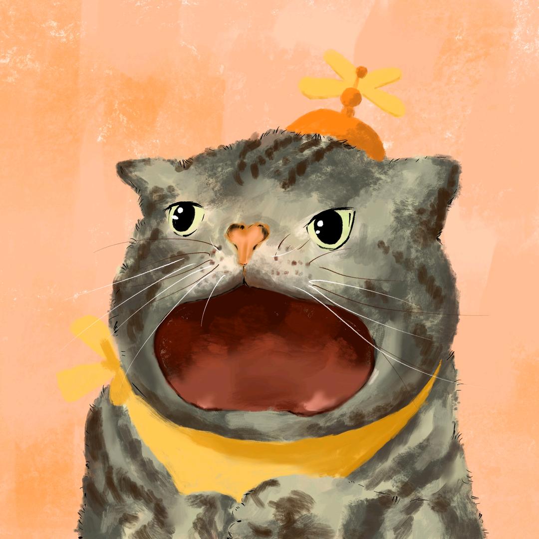 猫哈哈