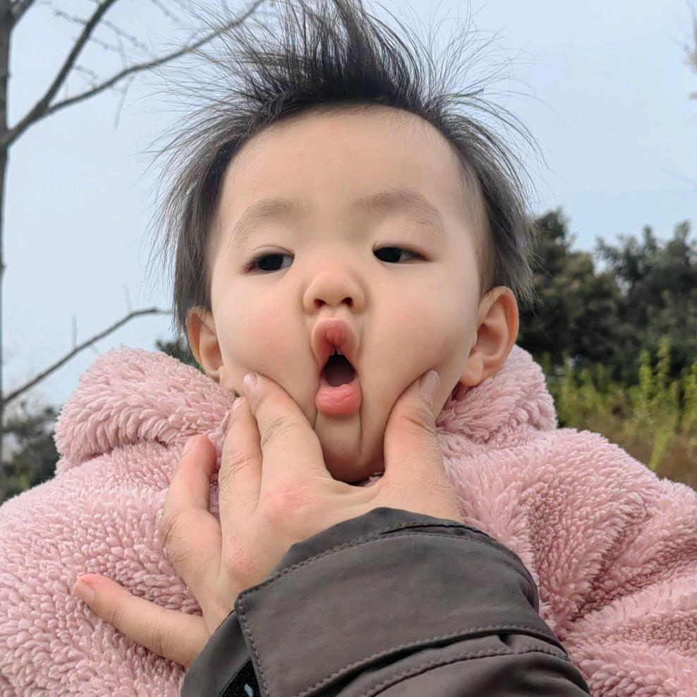 小月儿