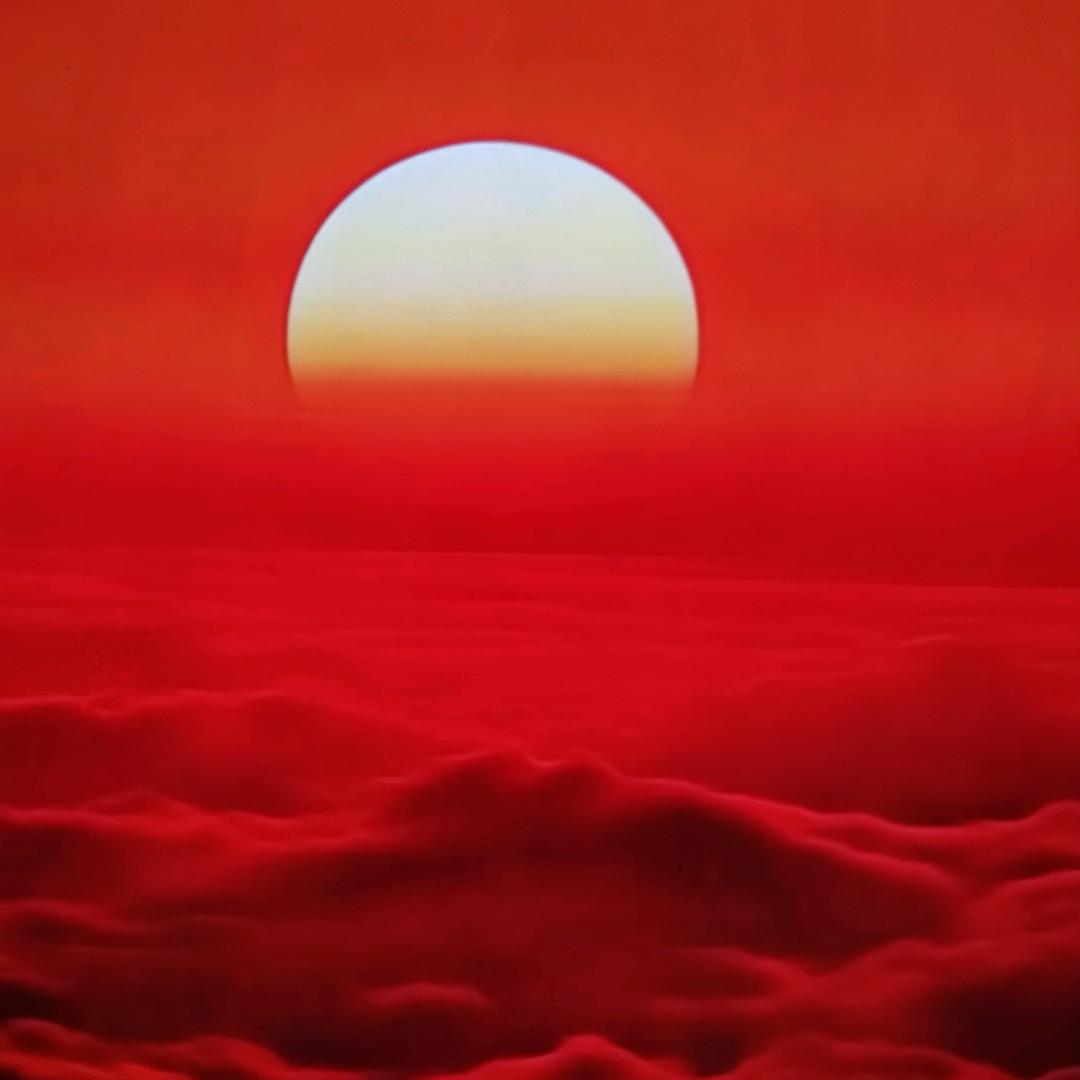沐光而行