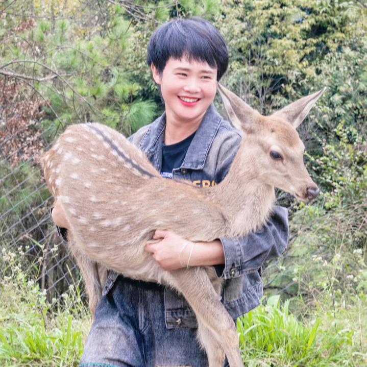 云山鹿娘~张守平